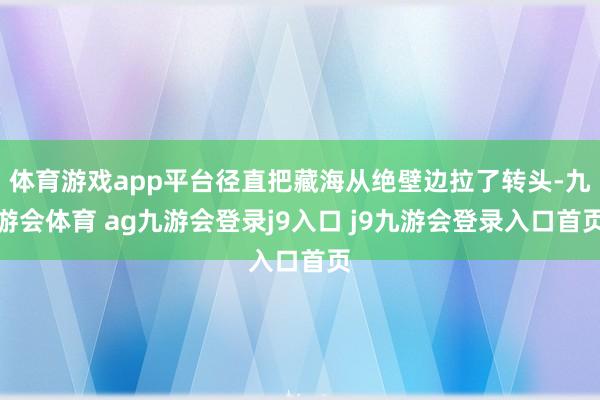 体育游戏app平台径直把藏海从绝壁边拉了转头-九游会体育 ag九游会登录j9入口 j9九游会登录入口首页