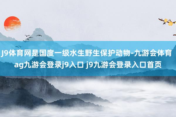 J9体育网是国度一级水生野生保护动物-九游会体育 ag九游会登录j9入口 j9九游会登录入口首页