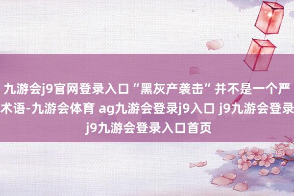 九游会j9官网登录入口“黑灰产袭击”并不是一个严格的法律术语-九游会体育 ag九游会登录j9入口 j9九游会登录入口首页